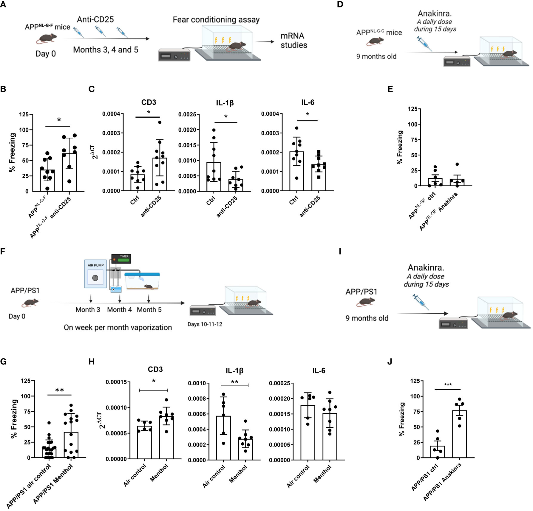 Alzheimer's: Menthol boosts cognitive function in mouse models