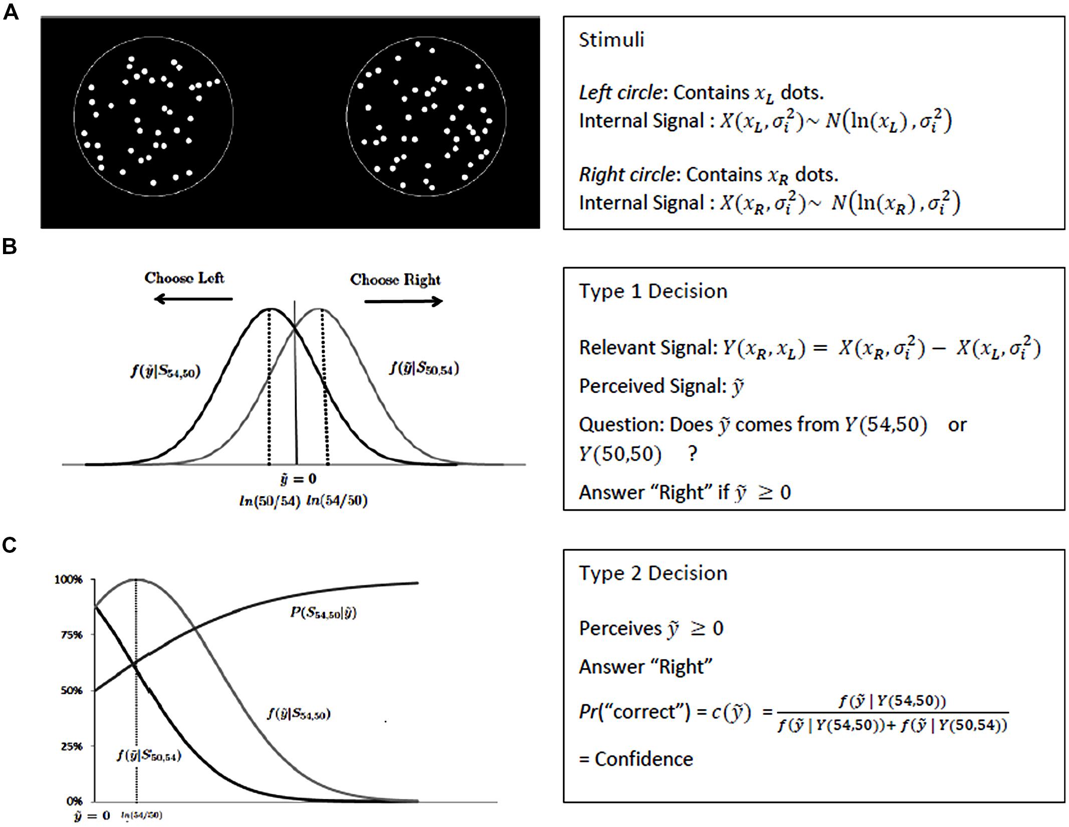 Frontiers Confidence measurement in the light of signal detection theory Psychology