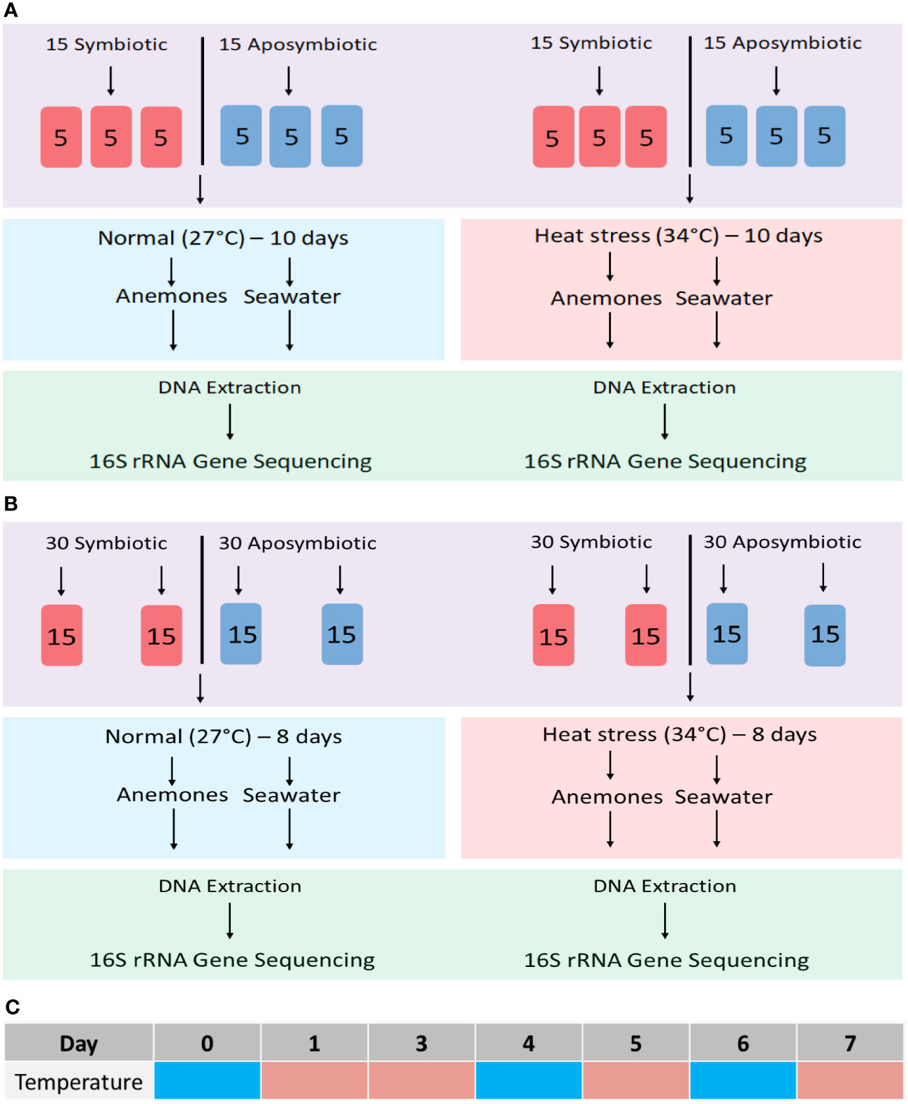 Frontiers  Changes in the microbiome of the sea anemone Exaiptasia  diaphana during bleaching from short-term thermal elevation