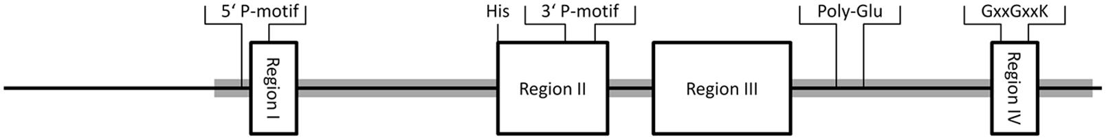 www.frontiersin.org