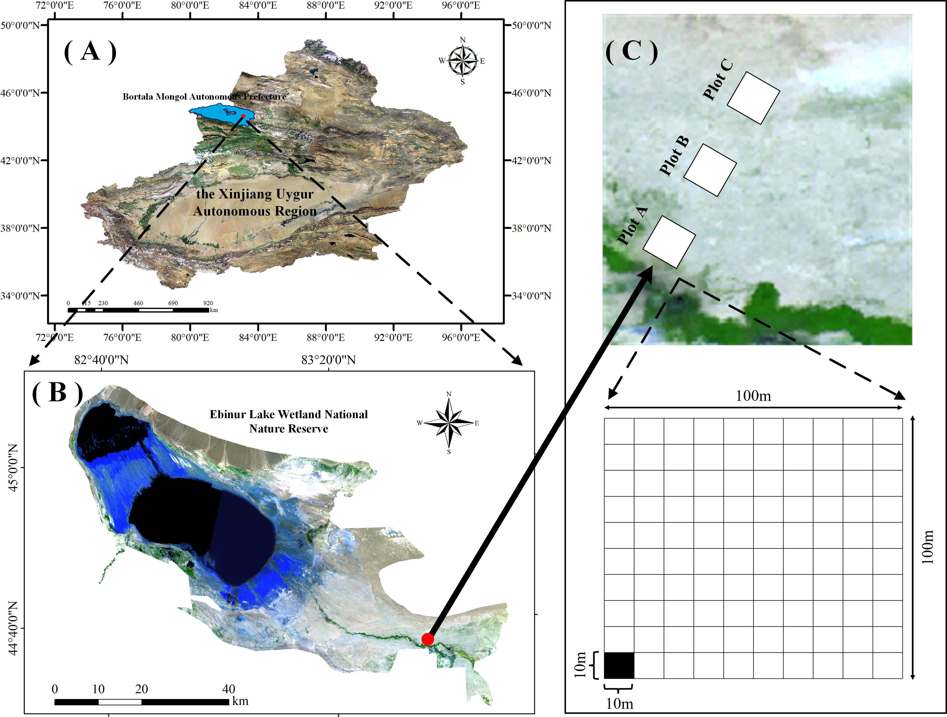 Frontiers  Prediction of spatial distribution characteristics of ecosystem  functions based on a minimum data set of functional traits of desert plants