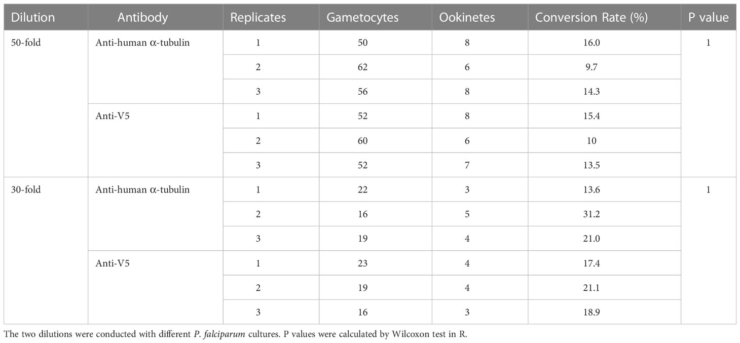 Frontiers | Targeting plasmodium α-tubulin-1 to block malaria ...