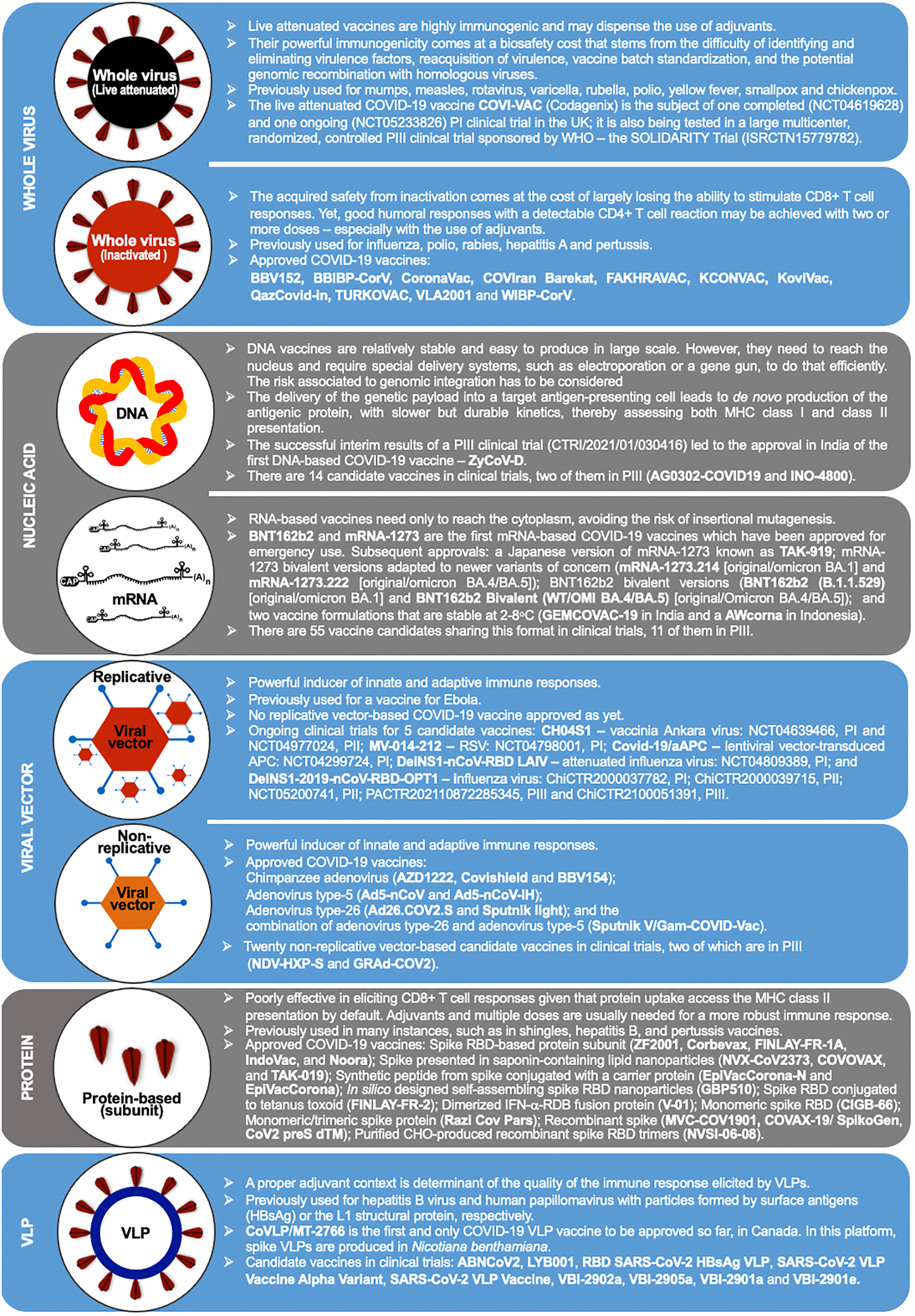 Frontiers  T-cell immunity to SARS-CoV-2: what if the known best is not  the optimal course for the long run? Adapting to evolving targets