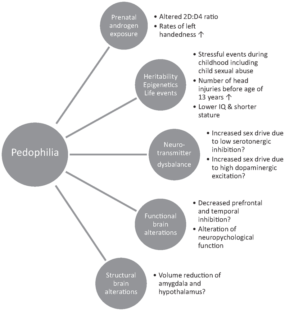 Frontiers | The Neurobiology and Psychology of Pedophilia: Recent Advances  and Challenges