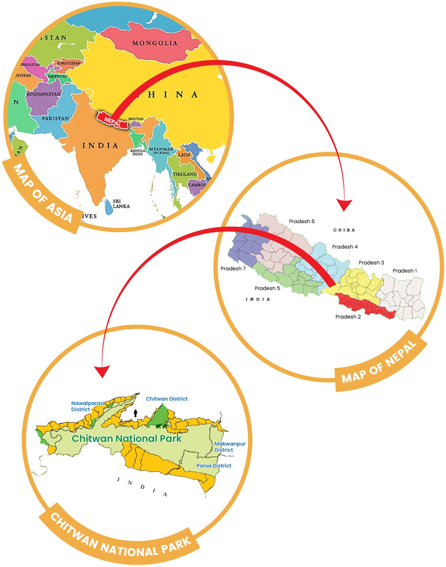 www.frontiersin.org