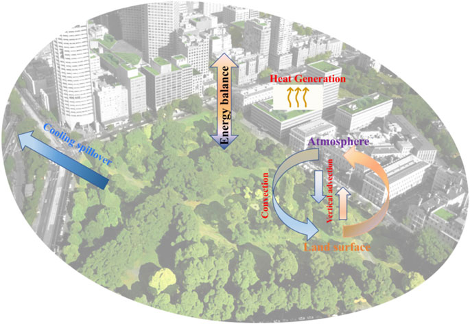 Fragmentation dynamics of (a) urban edge density (ED, m ha−1), (b)