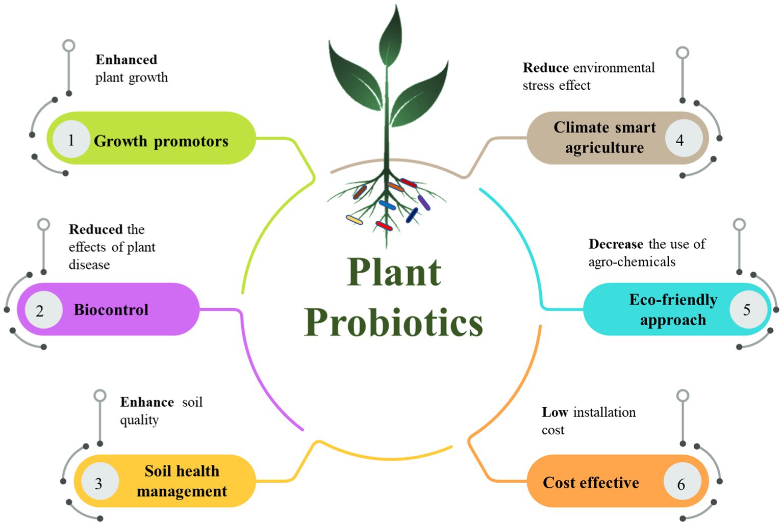 Use This Revolutionary Air-Pot To Grow Healthier Plants With Greater Yields