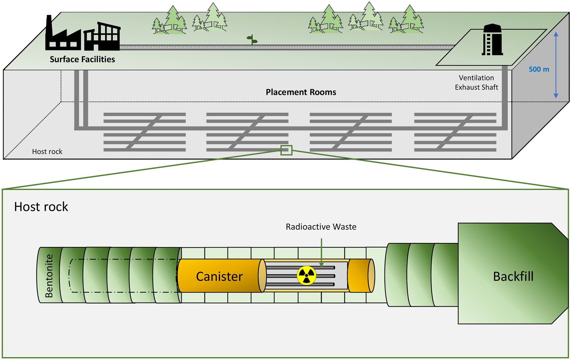 A New Uranium Bioremediation Approach using Radio-tolerant