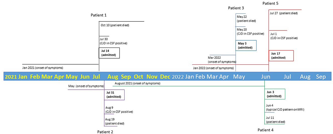 Mm2.club: Flagged as Suspicious – Analysis, Reviews, and Complaints