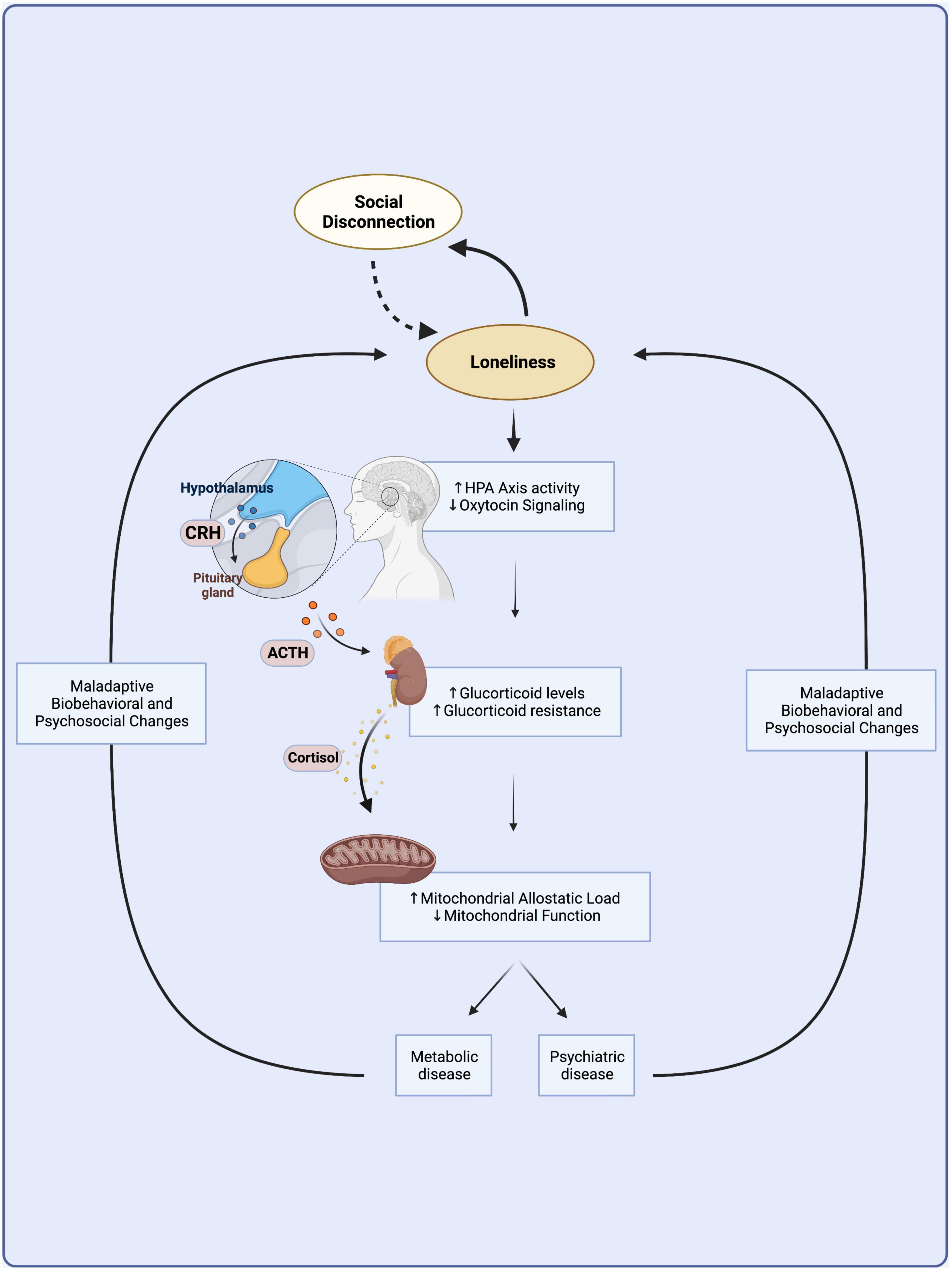 Frontiers  Behavioral and neuropsychiatric challenges across the