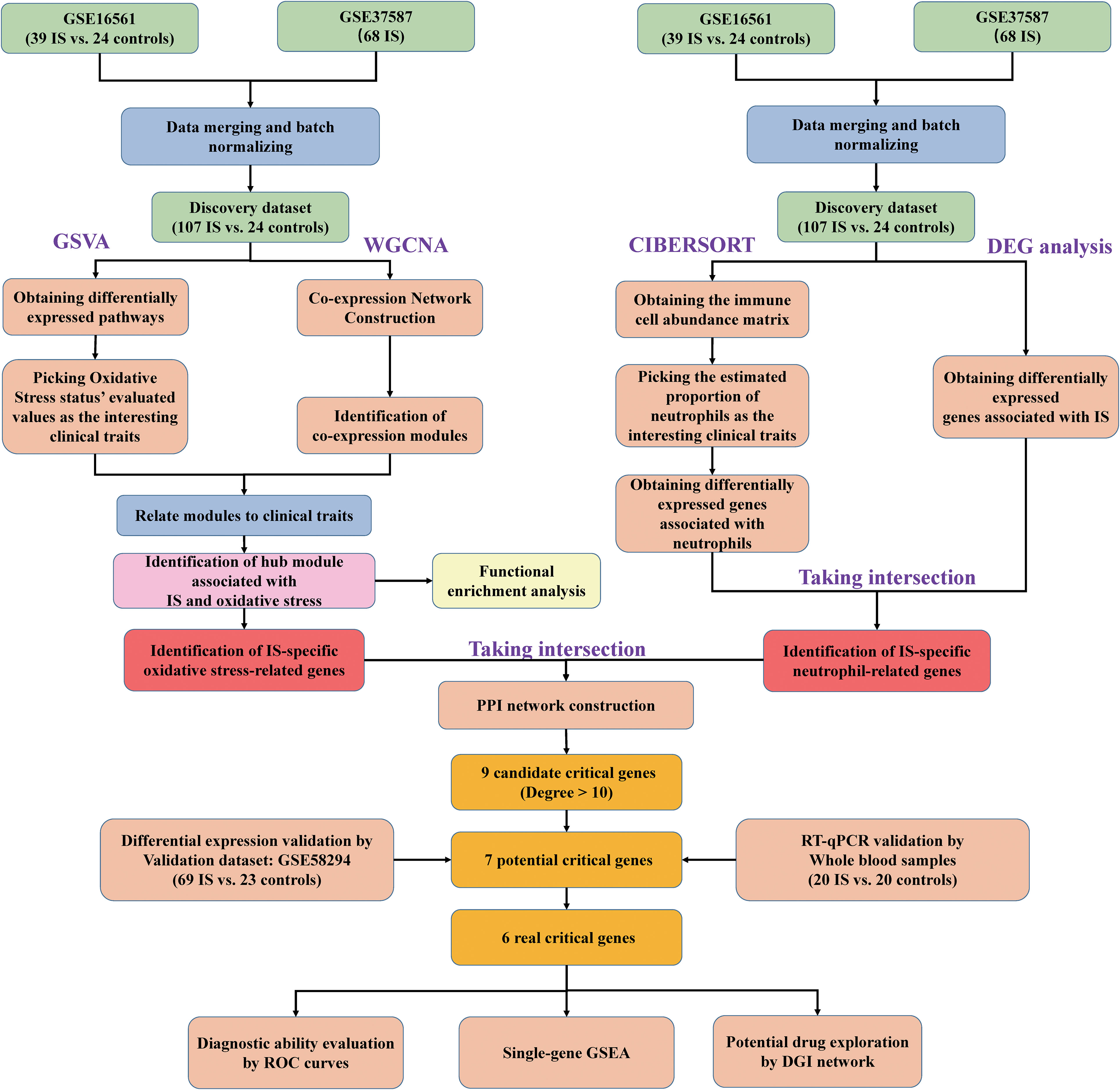 Frontiers Splenic protection network revealed by transcriptome