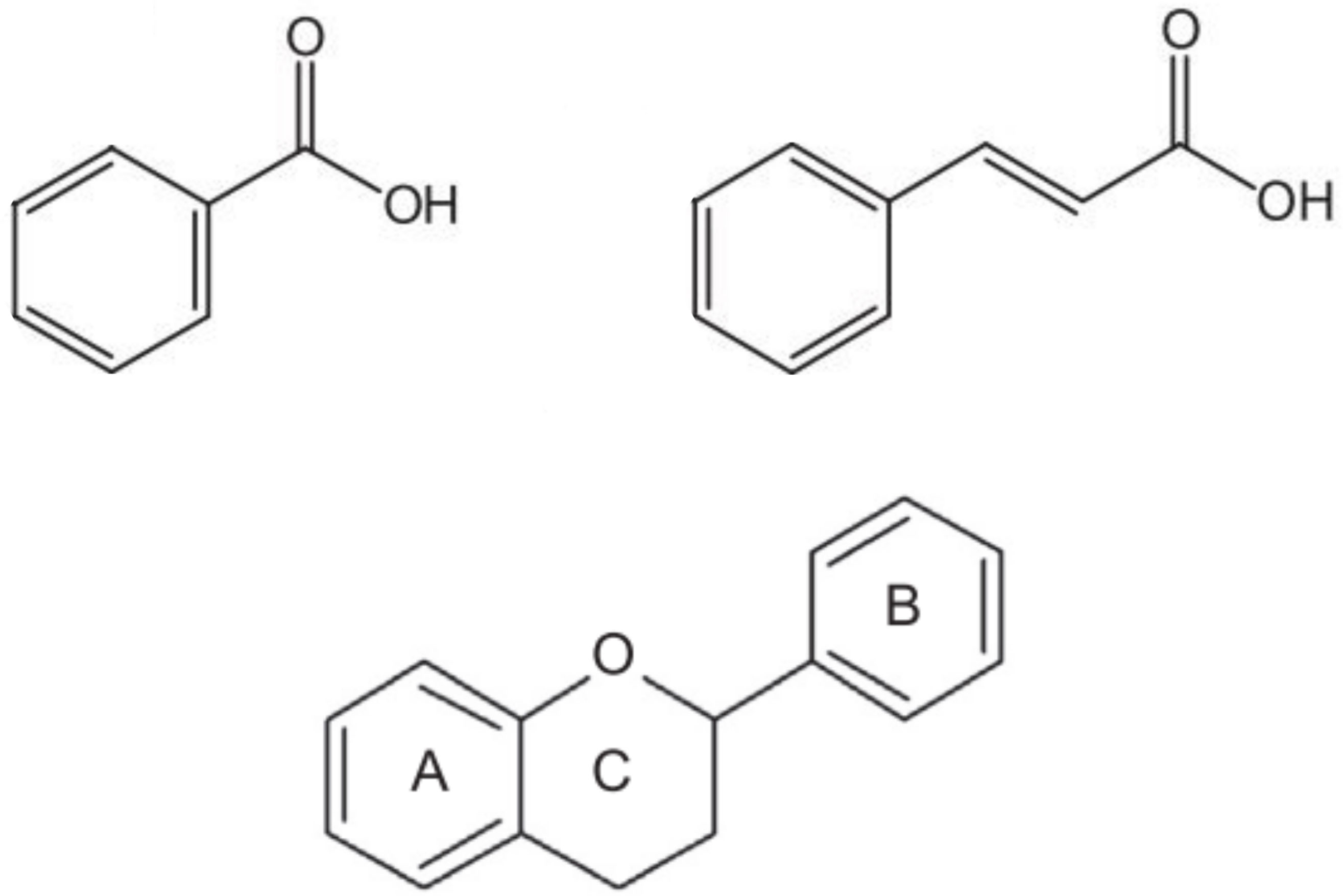 Frontiers | Genetics and breeding of phenolic content in tomato, eggplant  and pepper fruits