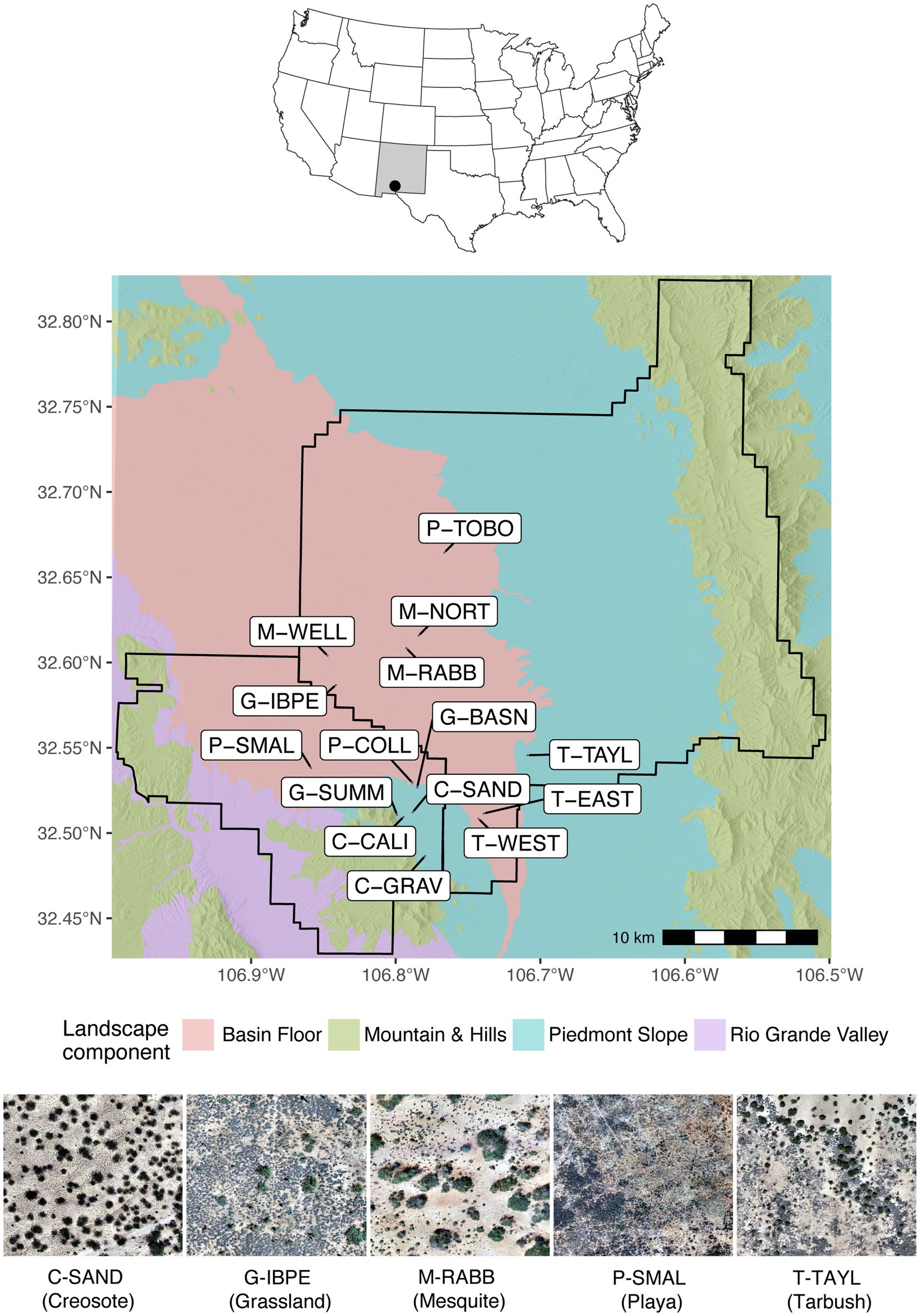 Landscape characteristics shape surface soil microbiomes in the Chihuahuan Desert