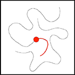 www.frontiersin.org