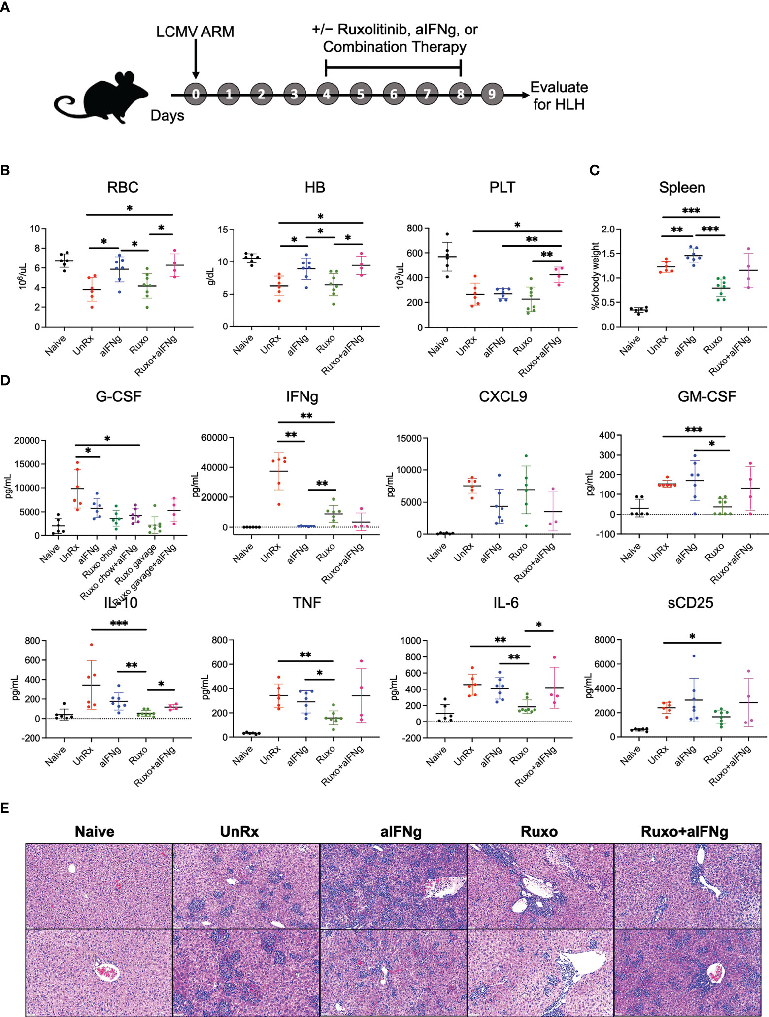 Frontiers | Cellular and transcriptional impacts of Janus