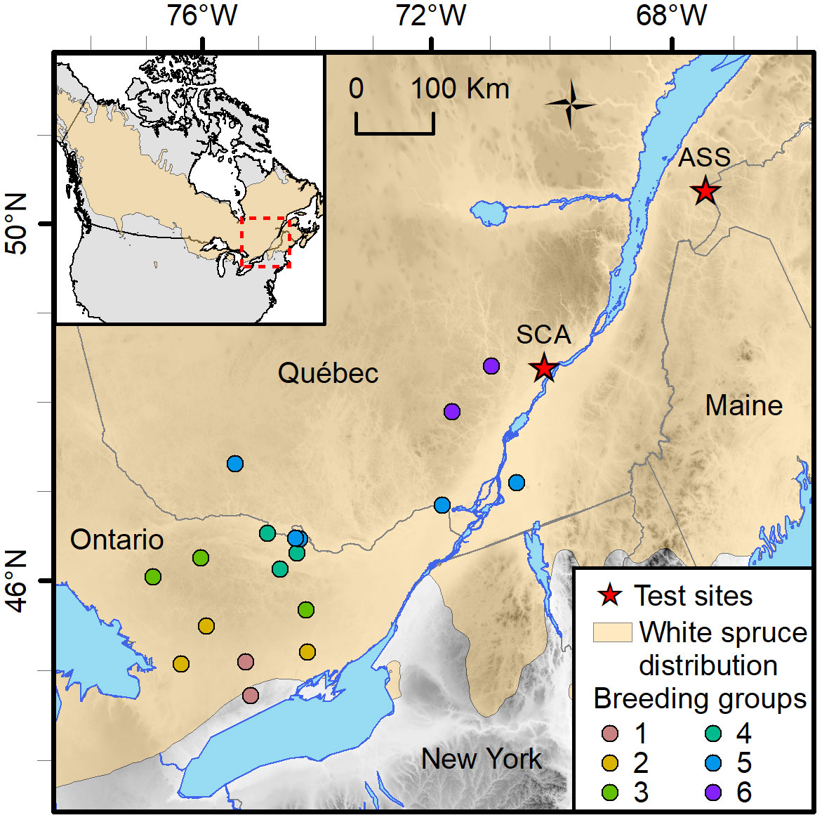 Frontiers | Increasing genomic prediction accuracy for