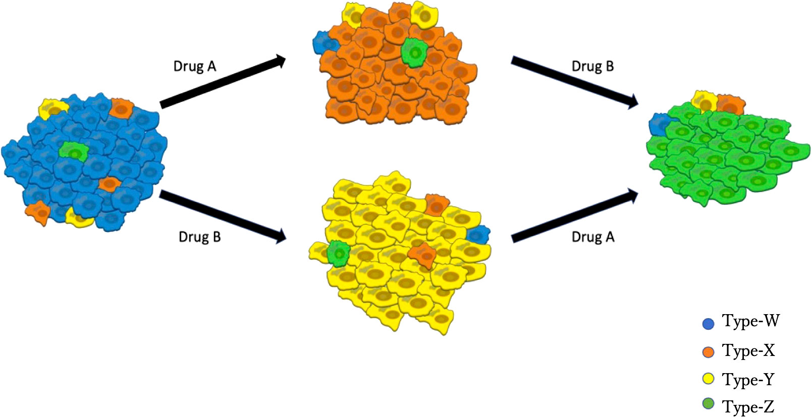 Thoracic Medical Oncology BIDMC on X:  / X