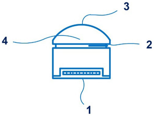 www.frontiersin.org