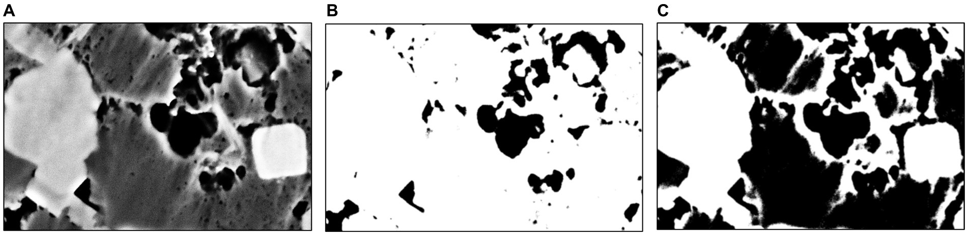 www.frontiersin.org