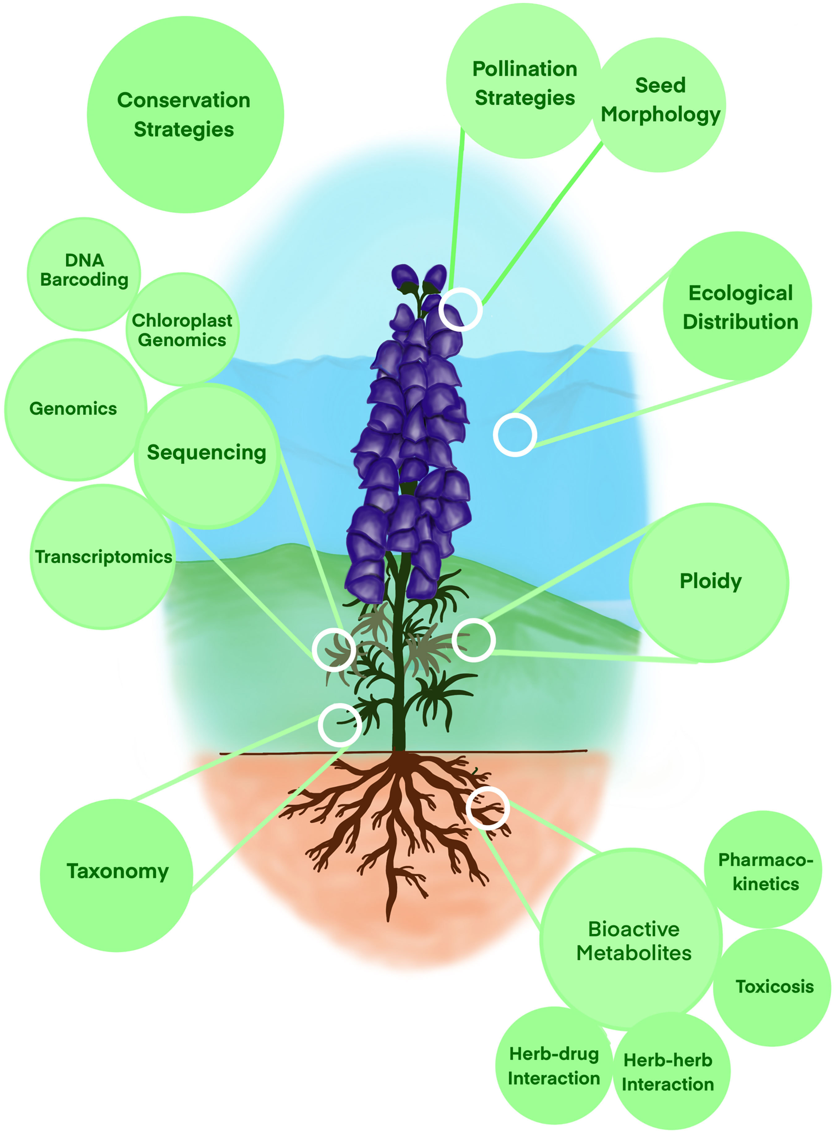 Healthy Transitions COMMON SIDE EFFECTS AND DRUG INTERACTIONS