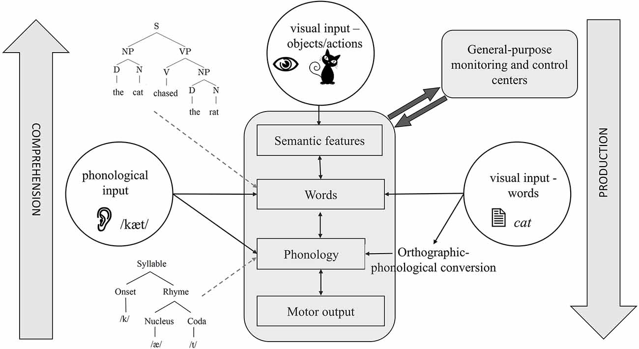 Frontiers A narrative review of the anatomy and function of the white matter tracts in language production and comprehension image image