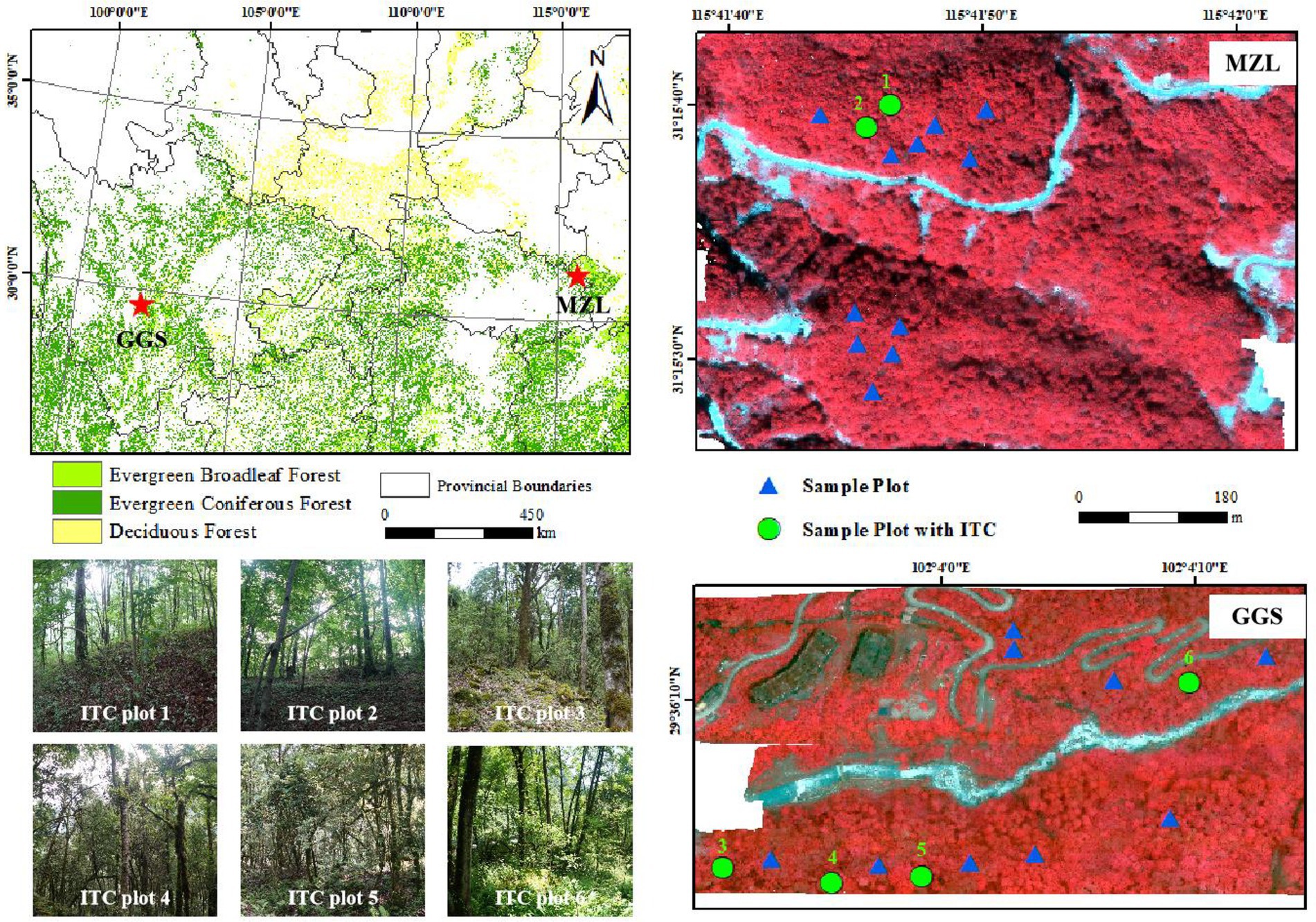 Frontiers Individual Tree based Forest Species Diversity Estimation 
