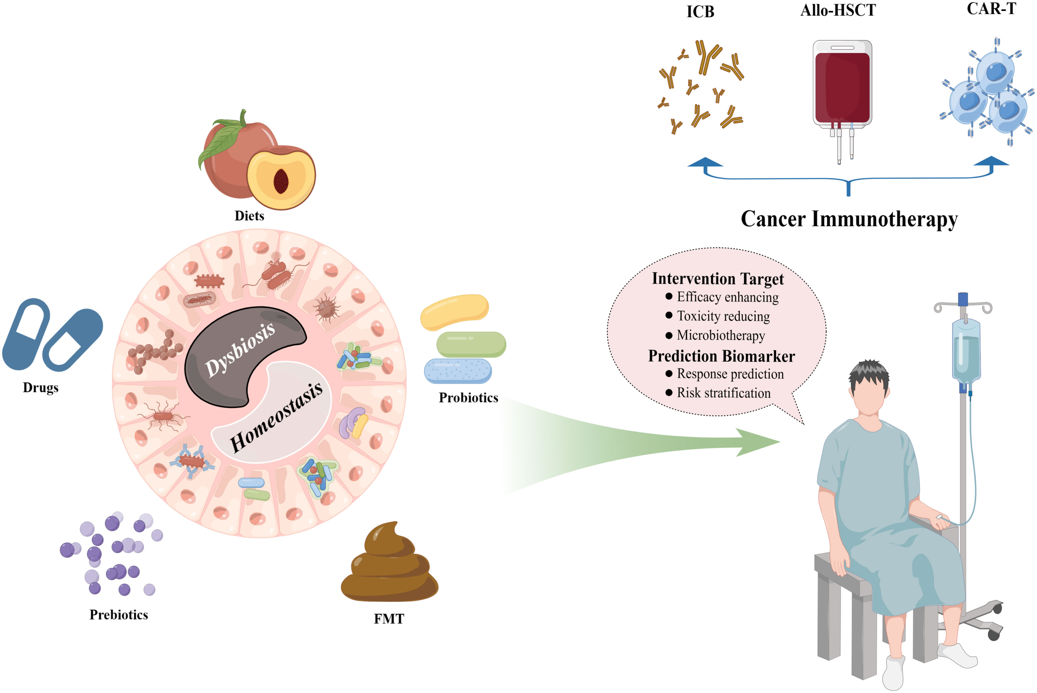 Microbiome and Human Health: Current Understanding, Engineering, and  Enabling Technologies