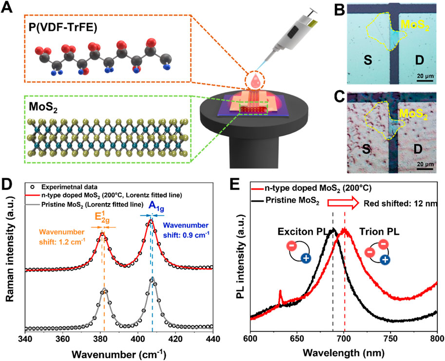 Wafer-scale monolithic integration of full-colour micro-LED display using  MoS2 transistor
