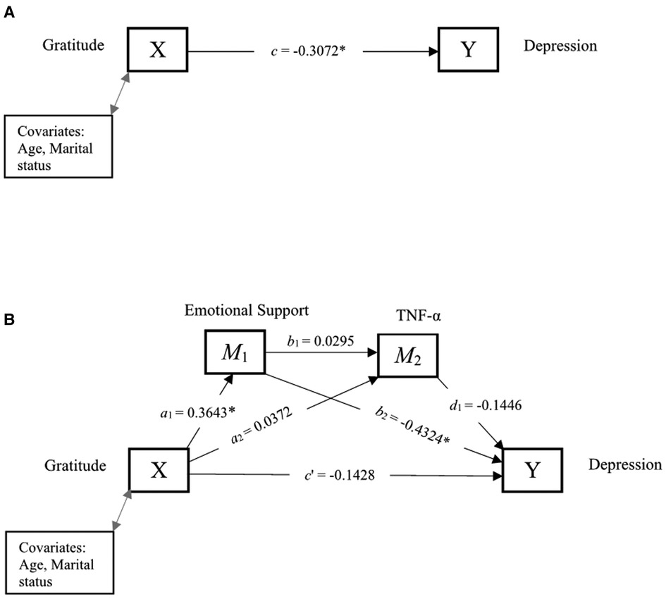 PDF) Marital Satisfaction and Depression: A Replication of the Marital  Discord Model in a Latino Sample