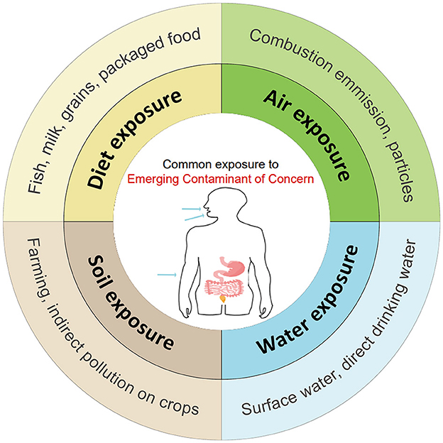 Frontiers | Adverse health effects of emerging contaminants on