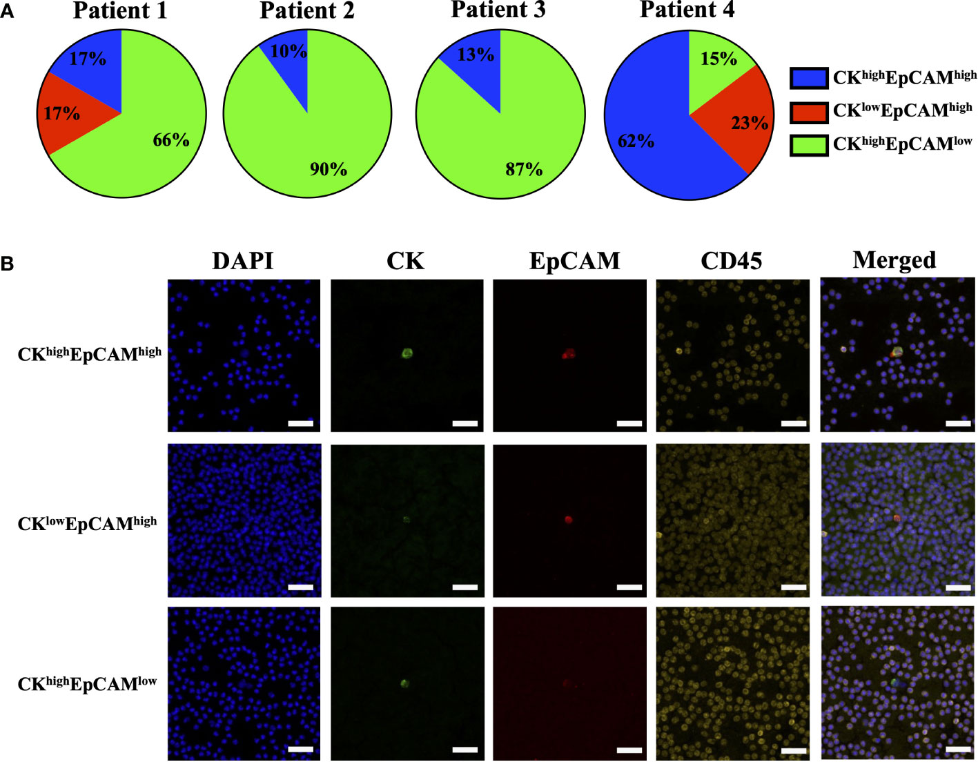 System Modularity Chip for Analysis of Rare Targets (SMART-Chip): Liquid  Biopsy Samples