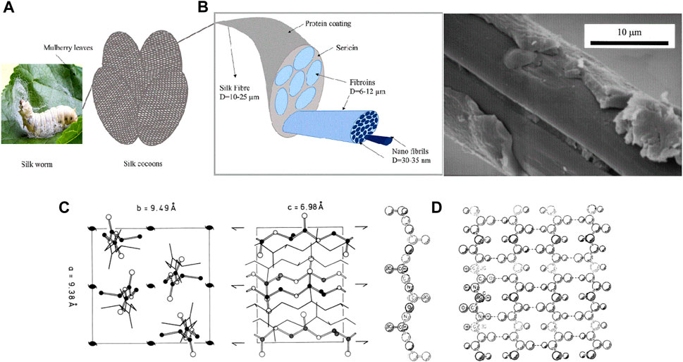 Frontiers  Silk and its composites for humidity and gas sensing  applications