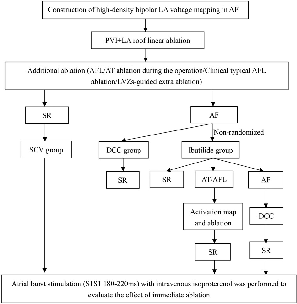 DR‐FLASH Score Is Useful for Identifying Patients With Persistent Atrial  Fibrillation Who Require Extensive Catheter Ablation Procedures