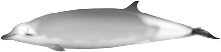 www.frontiersin.org