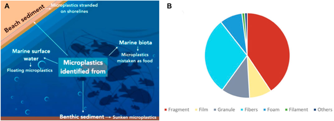 Frontiers  Plastic waste and microplastic issues in Southeast Asia