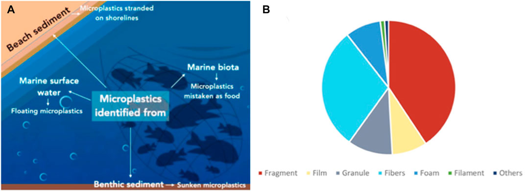 Plastic bottles holding 2.3 litres are least harmful to the planet