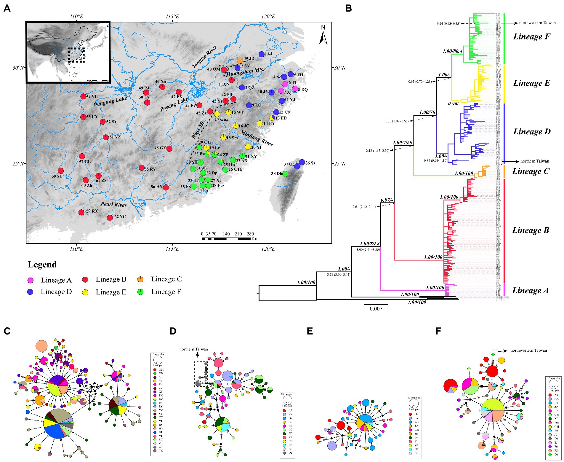 Frontiers  Phylogeographic analysis revealed allopatric distribution  pattern and biogeographic processes of the widespread pale chub  Opsariichthys acutipinnis-evolans complex (Teleostei: Cyprinidae) in  southeastern China