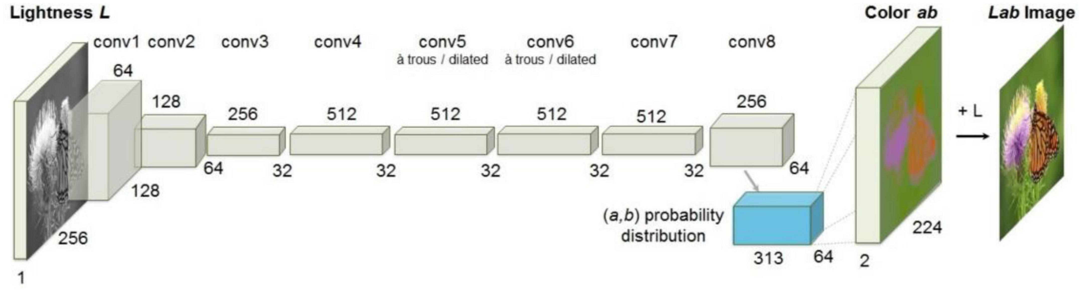 www.frontiersin.org