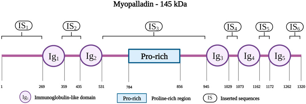 www.frontiersin.org