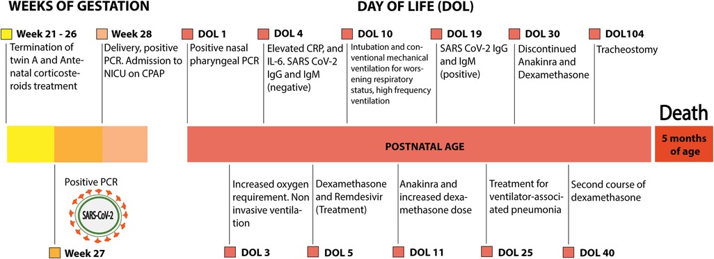 Frontiers  Case report: A preterm infant with rubinstein-taybi