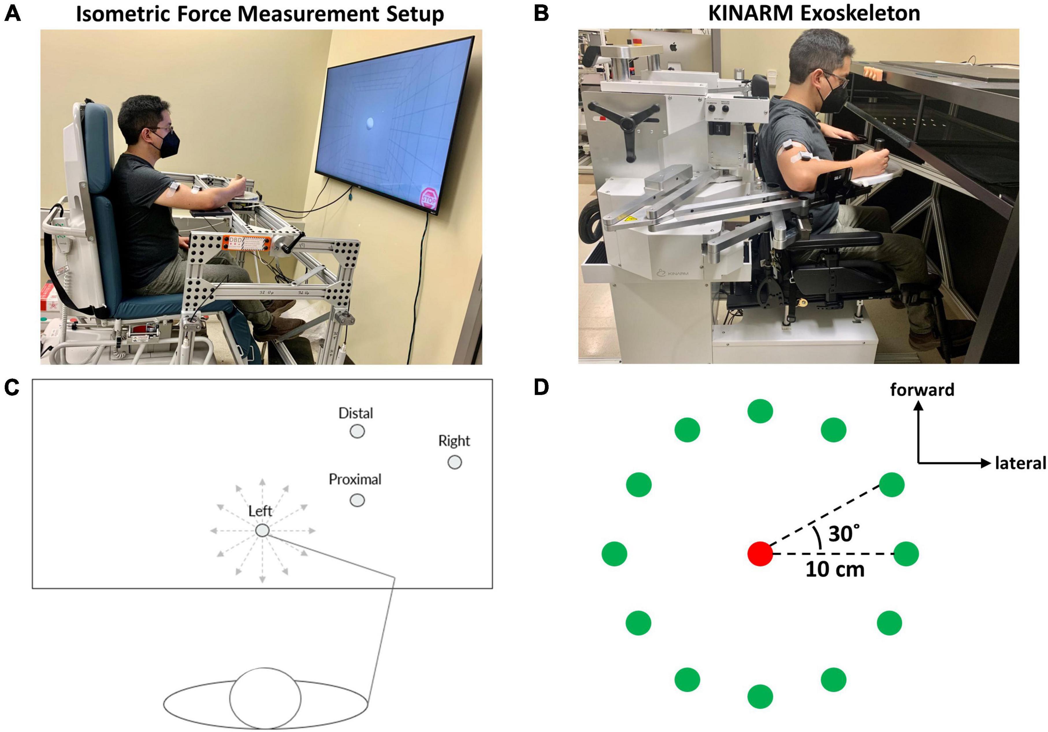 Electromyographic evaluation of upper limb muscles involved in armwrestling  sport simulation during dynamic and static conditions - ScienceDirect