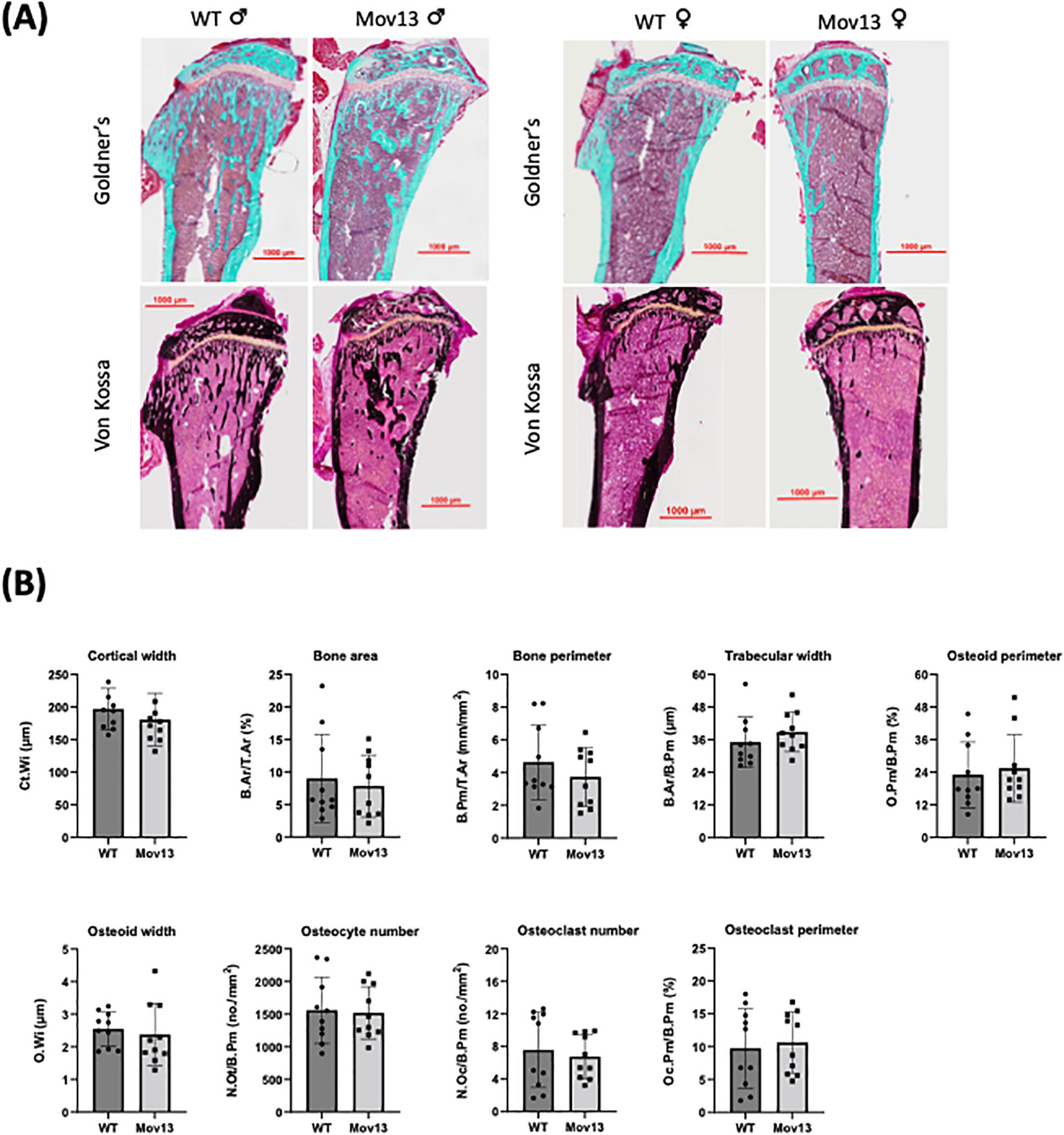Frontiers | Exploration of the skeletal phenotype of the