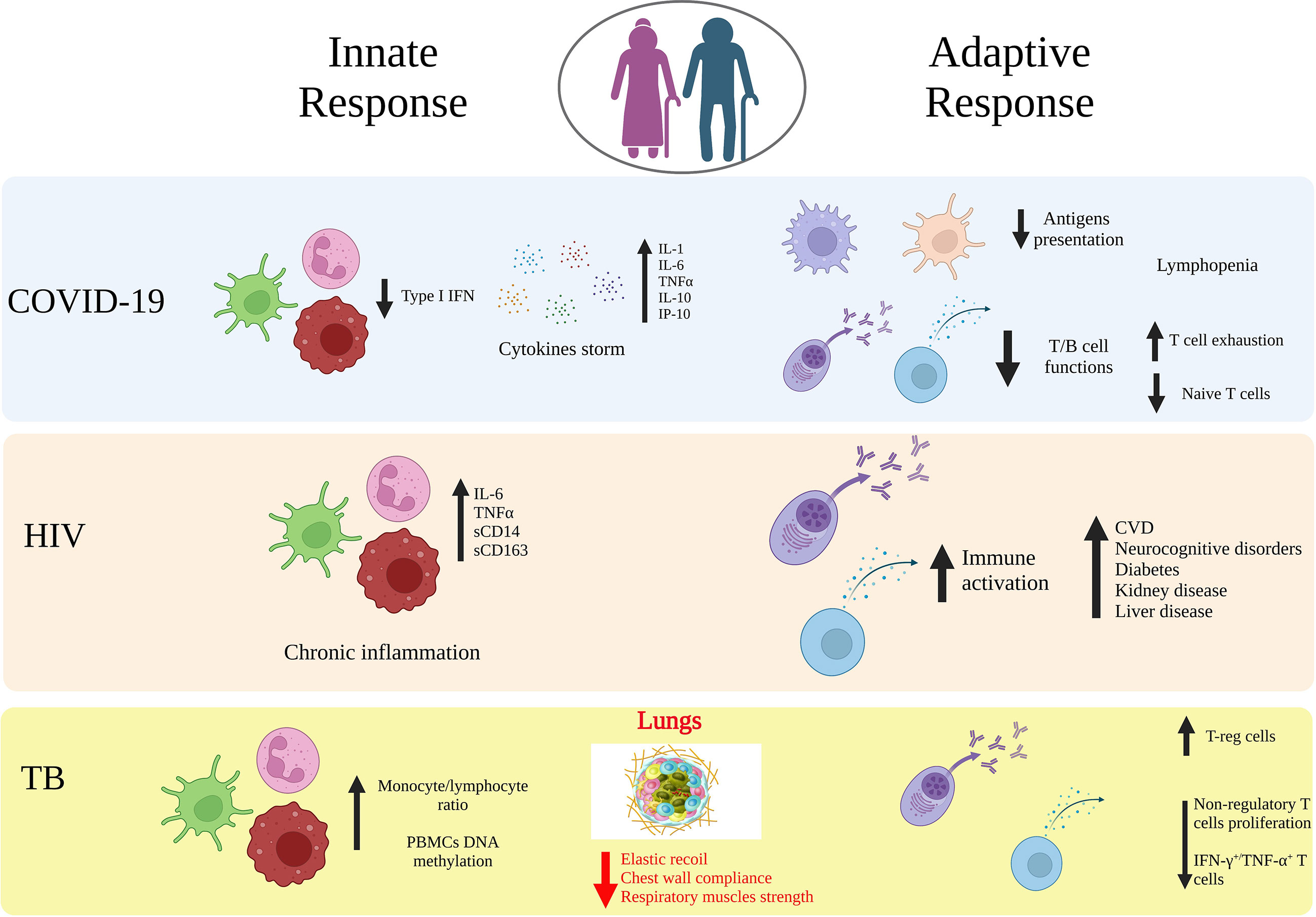 Immunogenicity and risks associated with impaired immune responses following SARS-CoV-2 vaccination and booster in hematologic malignancy patients: an updated meta-analysis