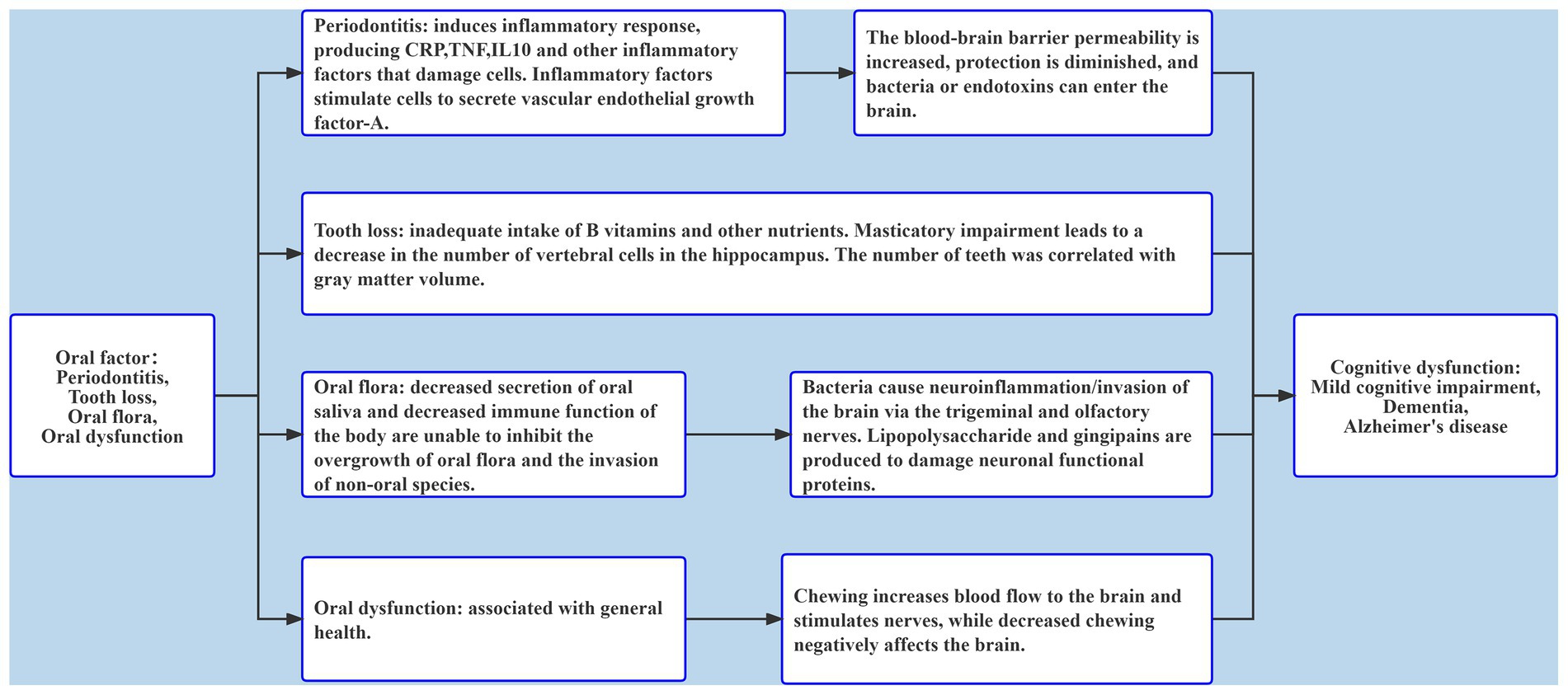 Cognitive impairments correlate with increased central nervous