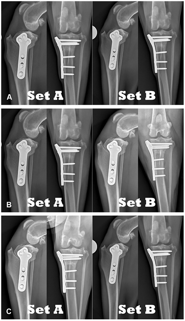 Tibial Pursuit: How to identify and side the tibia