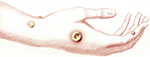 www.frontiersin.org