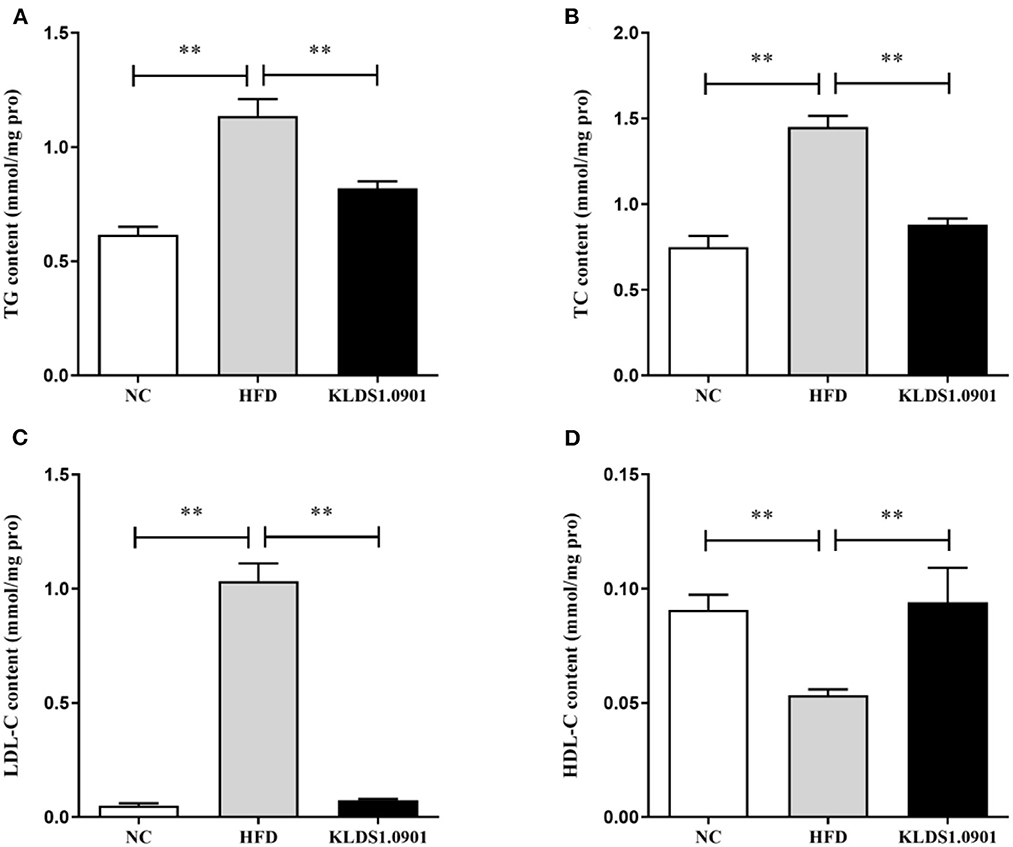 Frontiers | Assessing the in vivo ameliorative effects of Frontiers | Assessing the in vivo ameliorative effects of