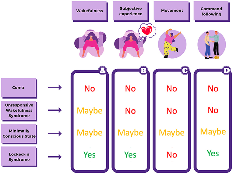Figure 1 - LIS and three types of DoCs (coma; UWS, and MCS) have similarities and differences.
