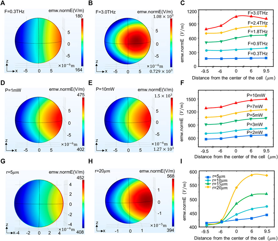 Why does G-Power bio-energy far-infrared rays have an effect on the human  body?