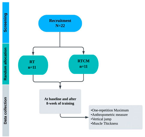 Frontiers  The effect of 8-weeks of combined resistance training and  chocolate milk consumption on maximal strength, muscle thickness, peak  power and lean mass, untrained, university-aged males